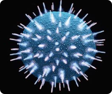 image144.png