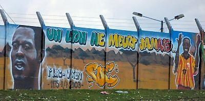 memoire-des-lions.jpg