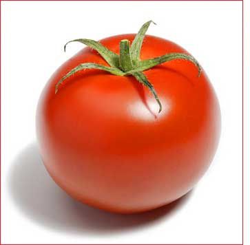 tomates-gp12.jpg