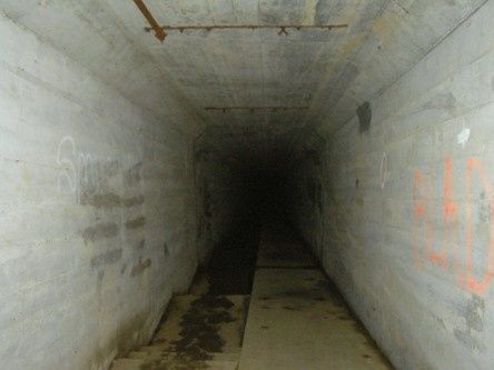 Tunnel_Waverly.jpg