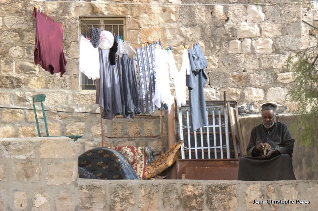 site de rencontre palestinien