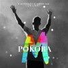 mpopok01 m-pokora-live-2013