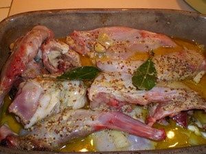 lapin1