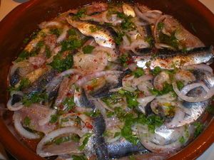 sardine_marin_es_1