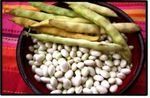 haricots_blancs