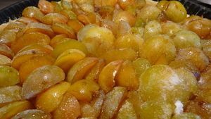 P1000636