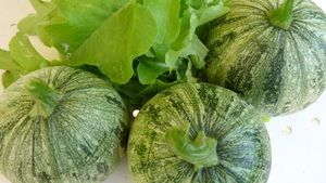 du_jardin