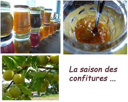 CONFITURE_copie