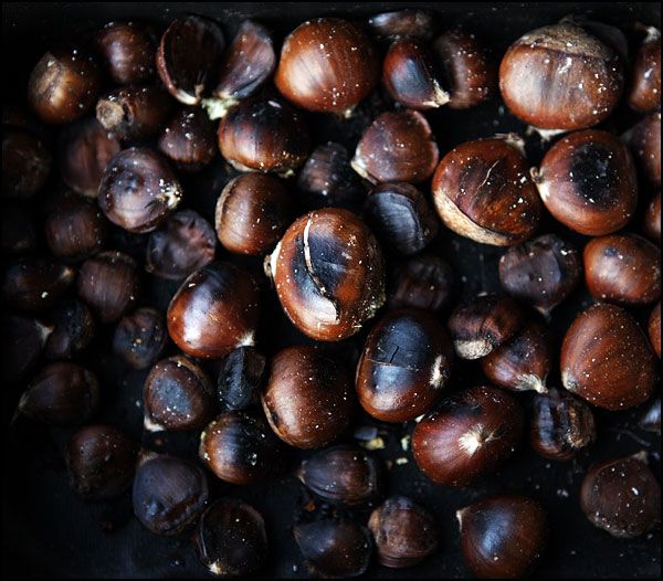 marrons-chauds