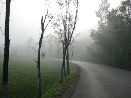 brouillard.JPG