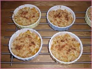 Photo_295