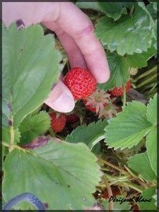 Photo_422