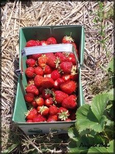 Photo_427