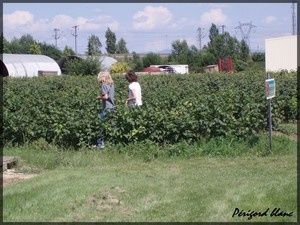 Photo_432