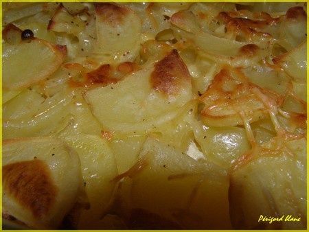 Photo_036