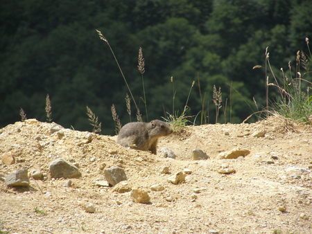 Photo_986
