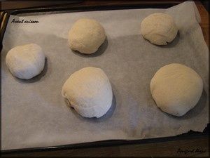 Photo_132