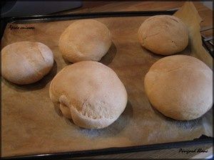 Photo_133