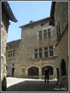 Photo_1524