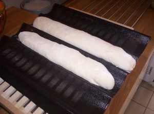 Photo_092