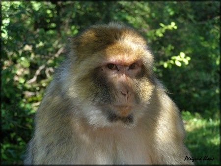 Photo_012