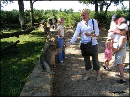 Photo_006