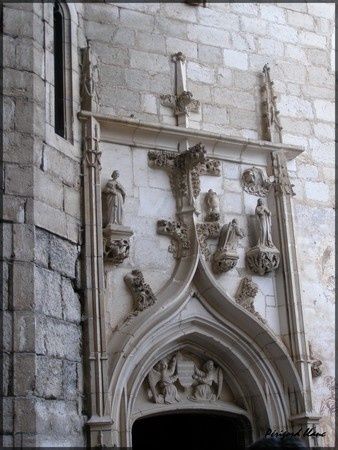 Photo_131
