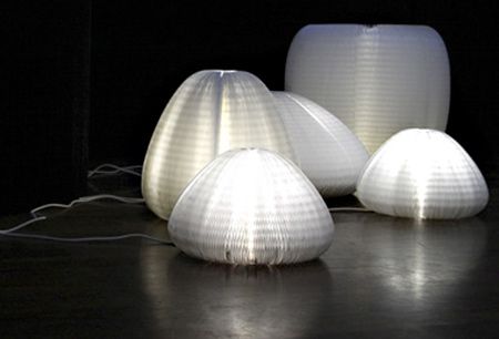 molosoftlight.jpg