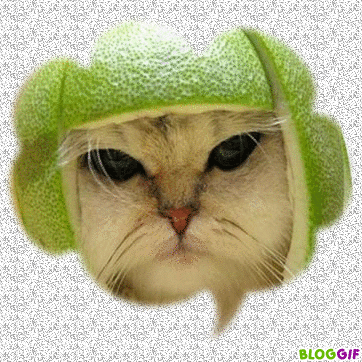 bloggif_4b2fe02b6fcee-copie-1.gif