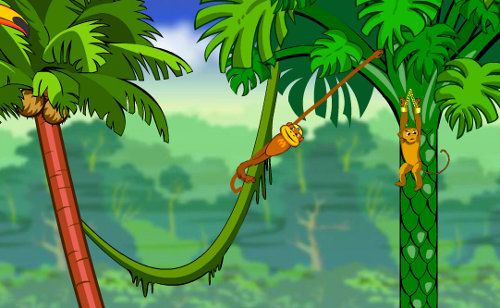 spider-monkey