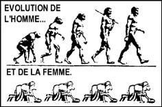evolution.JPG