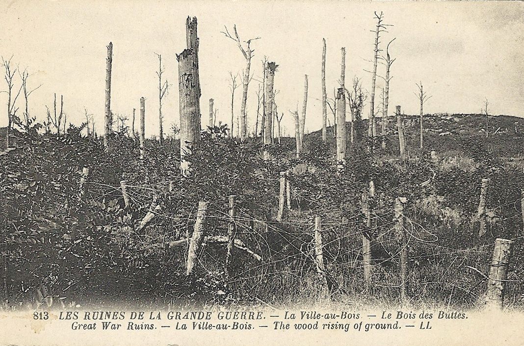 Album LaVilleauboislesPontavert Regards regain Roucy