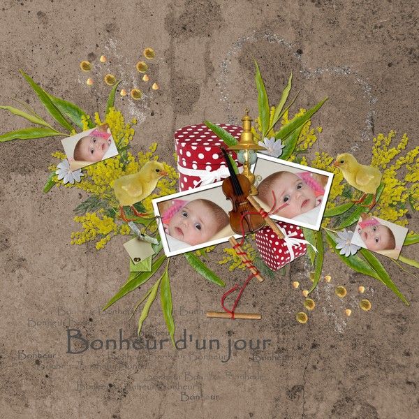 collab-digi-boudi-.de-delph-1a13701.jpg