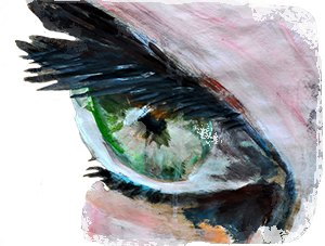 PhotOpus-Bannière-définitive-oeil-vers-gauche-eponge