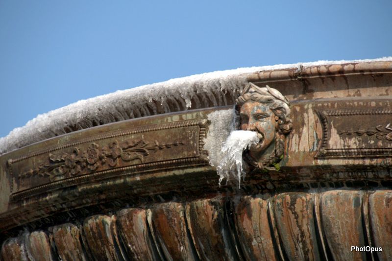 PhotOpus-Cracheur-de-Glace.jpg