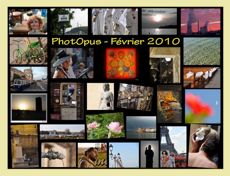 PhotOpus-Feb-2010