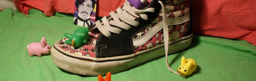 vans-1-copie-1.jpg