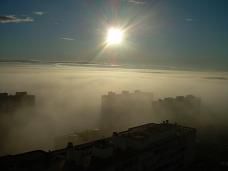 DSCN7988.jpg