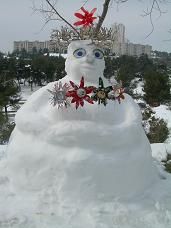 DSCN8243.jpg