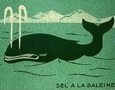 rabier-baleine.jpg