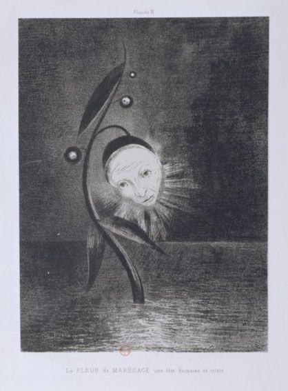 fleur-marecage-1885.jpg