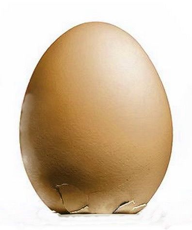 oeuf