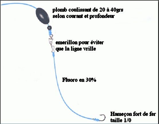 montage dorade grise