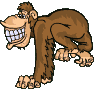 animaux-singe-001.gif