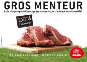 1105-fne-gros-menteur.jpg