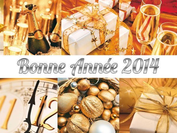 Bonne année 2014 Bonne année 2014