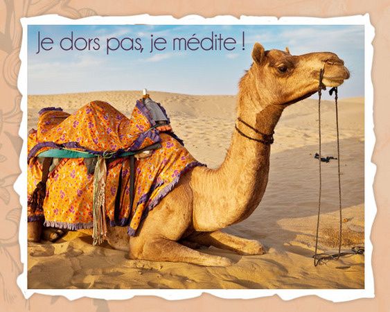 carte anniversaire de mariage musicale gratuite