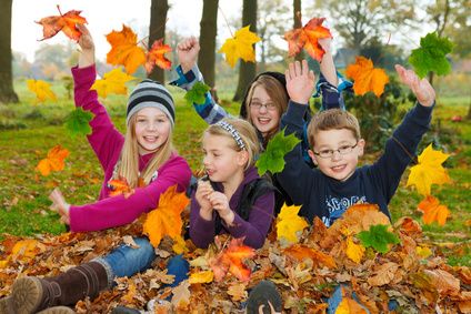 C'est l'automne ! C'est l'automne !
