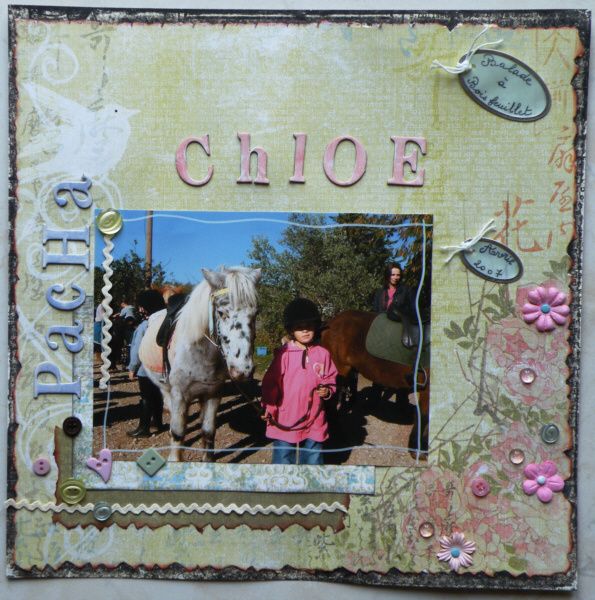Pacha Chloé forum