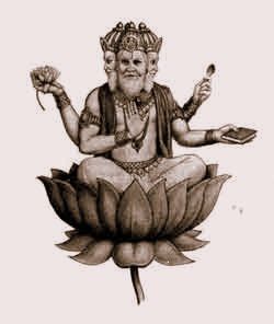 Brahma.jpg